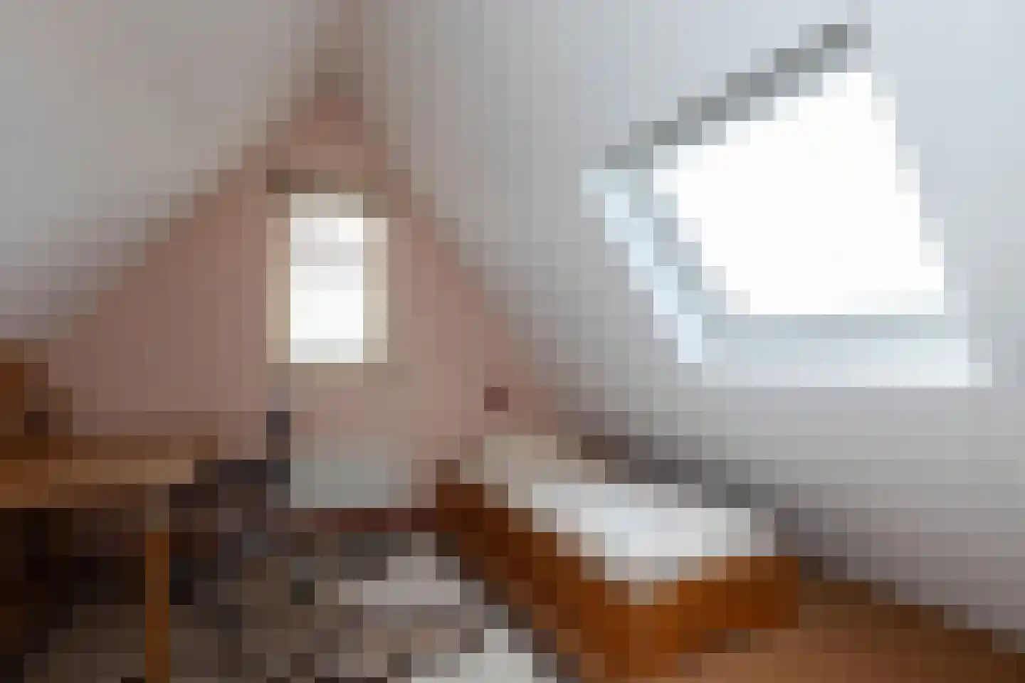Neerpolderseweg 30 Giessenburg thumbnail 33