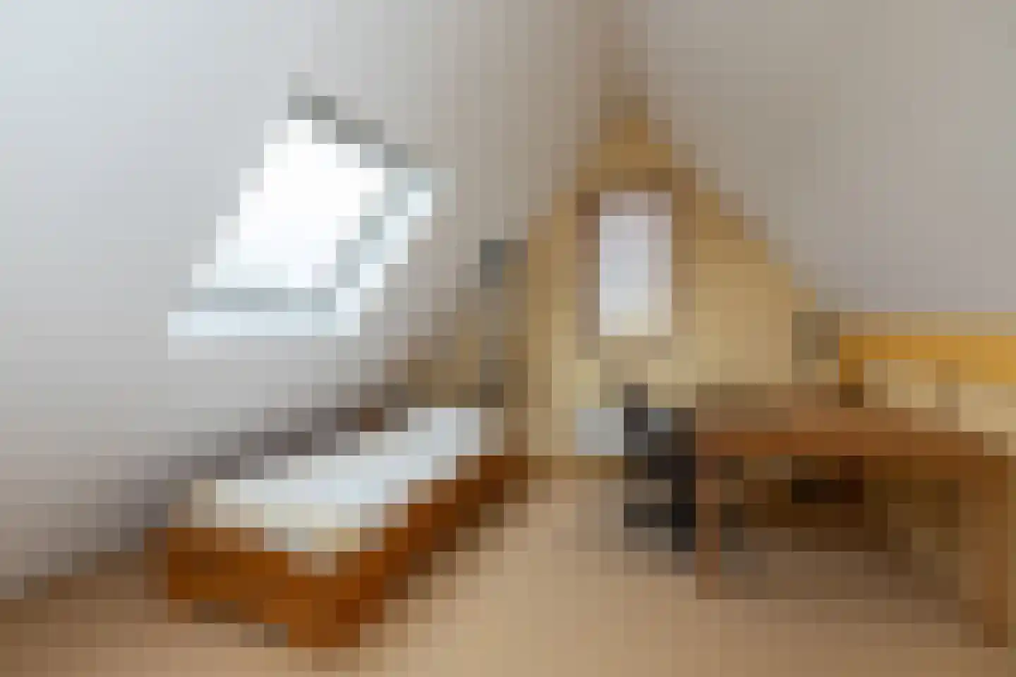 Neerpolderseweg 30 Giessenburg thumbnail 35