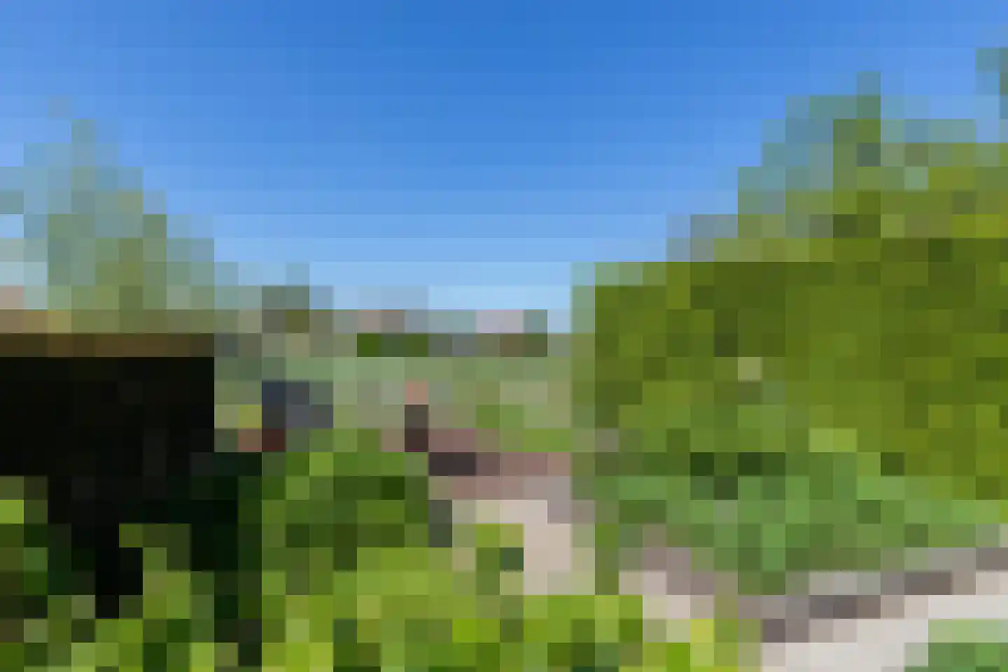 Neerpolderseweg 30 Giessenburg thumbnail 44