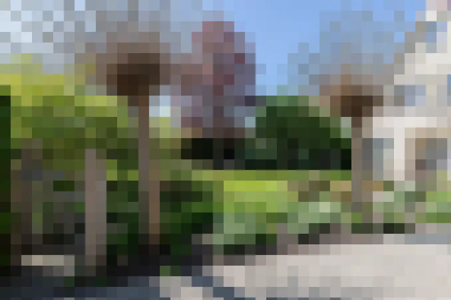 Neerpolderseweg 30 Giessenburg thumbnail 55