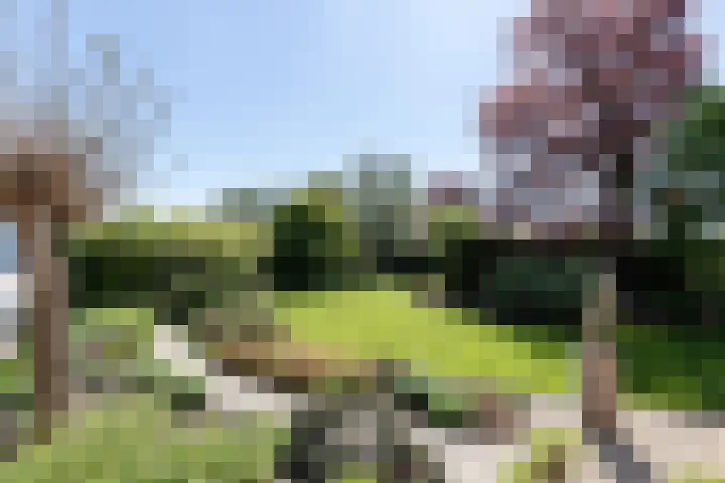 Neerpolderseweg 30 Giessenburg thumbnail 57