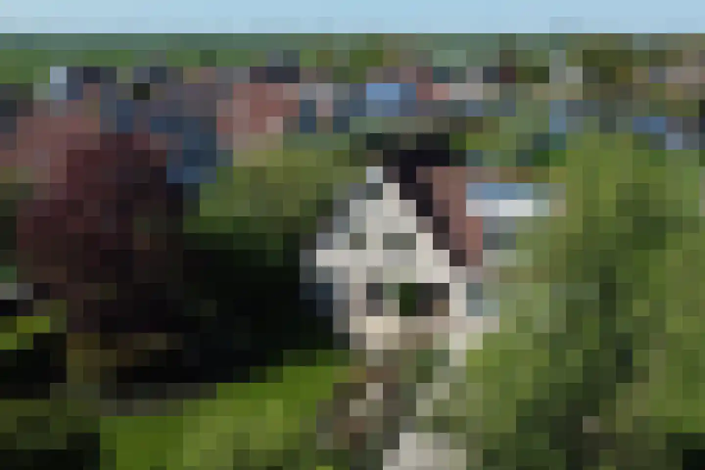 Neerpolderseweg 30 Giessenburg thumbnail 60