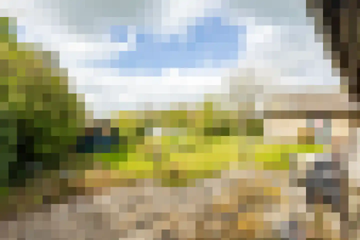 Neerpolderseweg 80 Giessenburg thumbnail 20