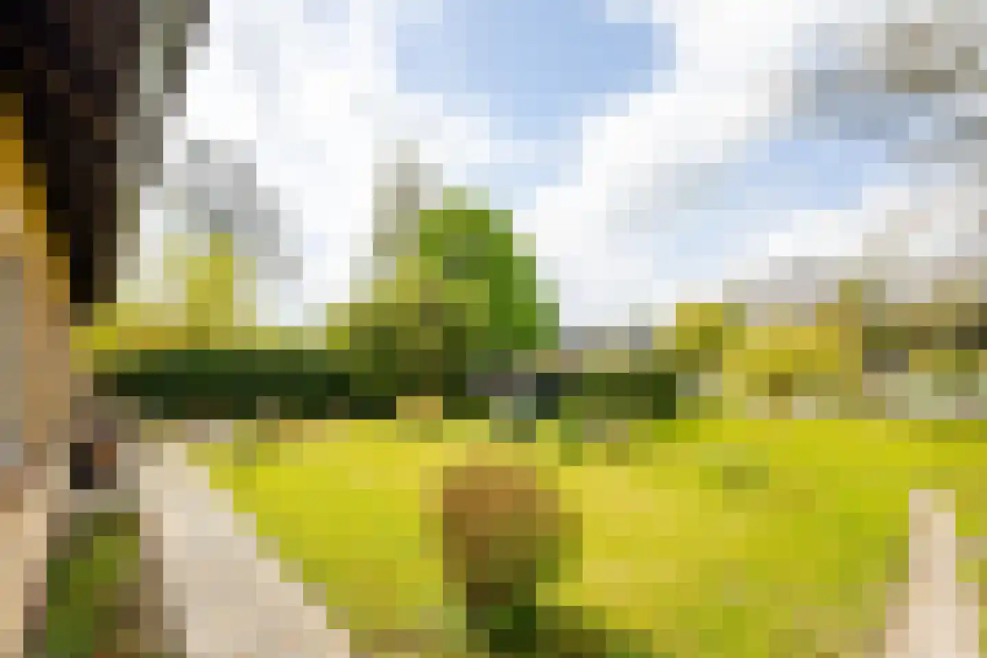 Neerpolderseweg 80 Giessenburg thumbnail 21