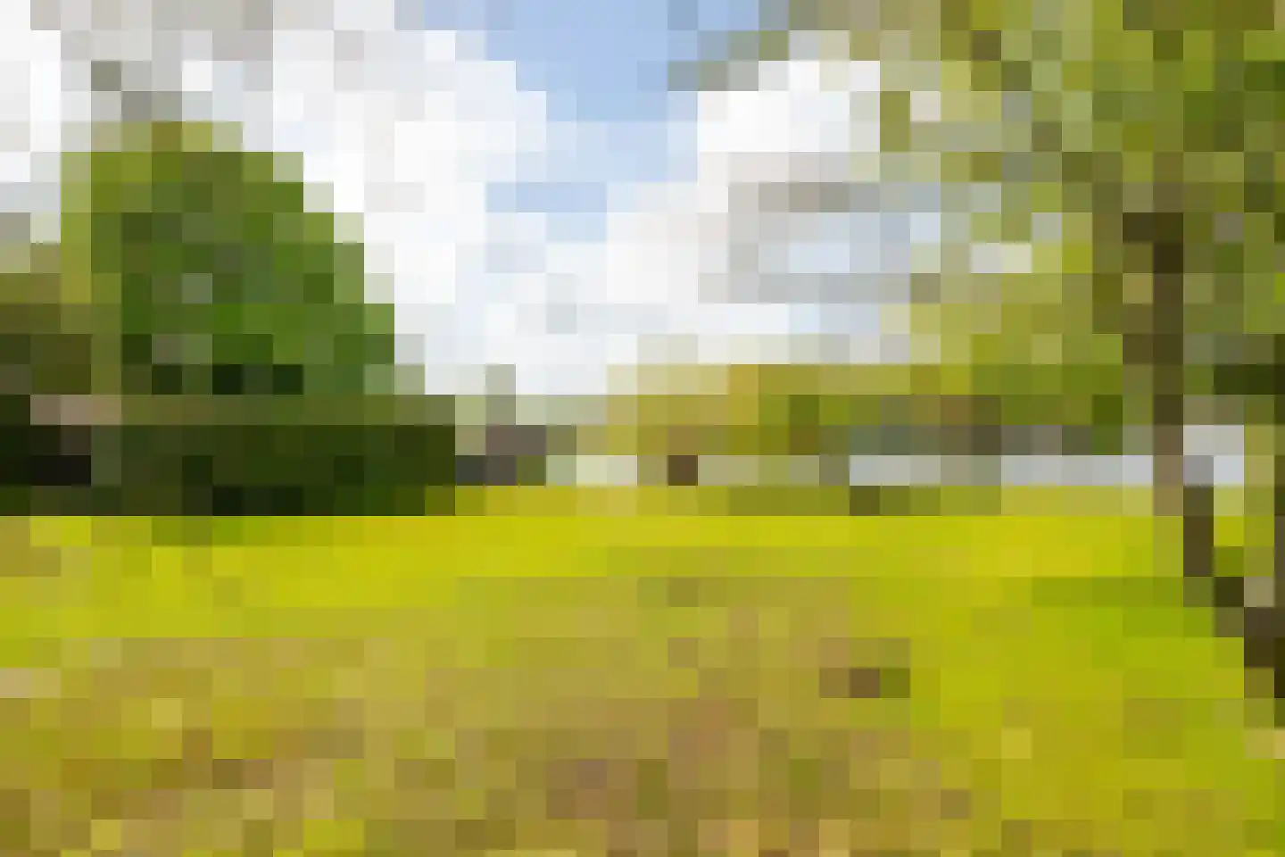 Neerpolderseweg 80 Giessenburg thumbnail 22