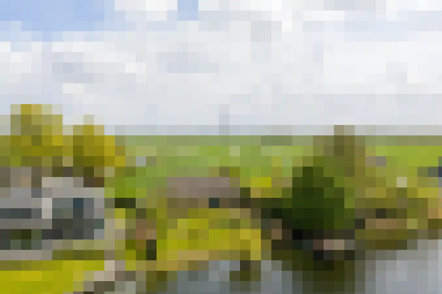 Neerpolderseweg 80 Giessenburg thumbnail 26
