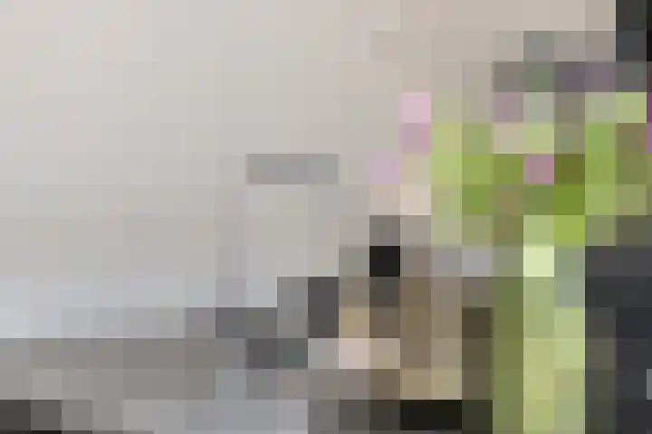 Neerrepenstraat 22 Maastricht thumbnail 10