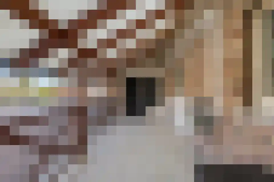 Neerrepenstraat 3700 Tongeren Maastricht thumbnail 33