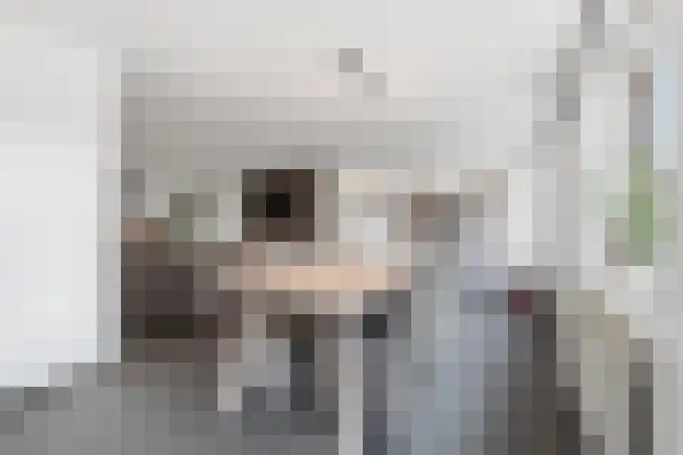 Neerrepenstraat 3700 Tongeren Maastricht thumbnail 7