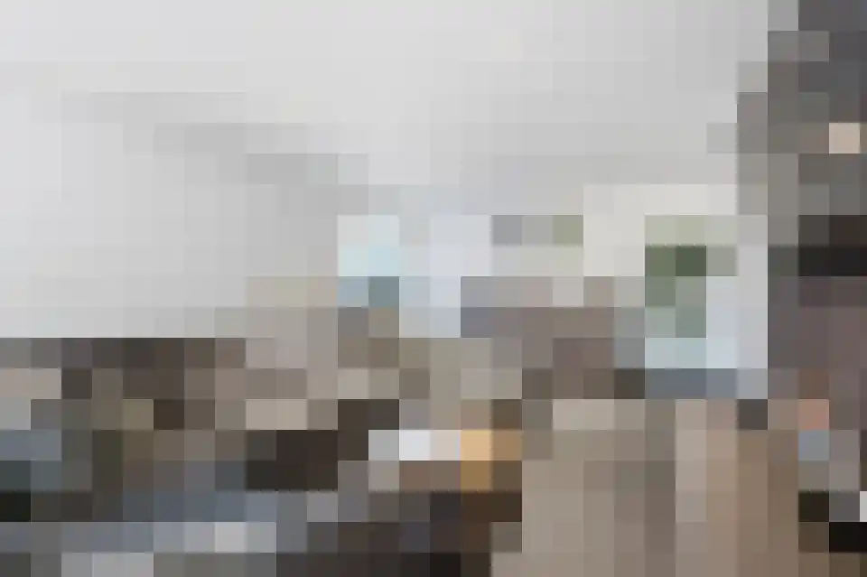Neerrepenstraat 3700 Tongeren Maastricht thumbnail 9