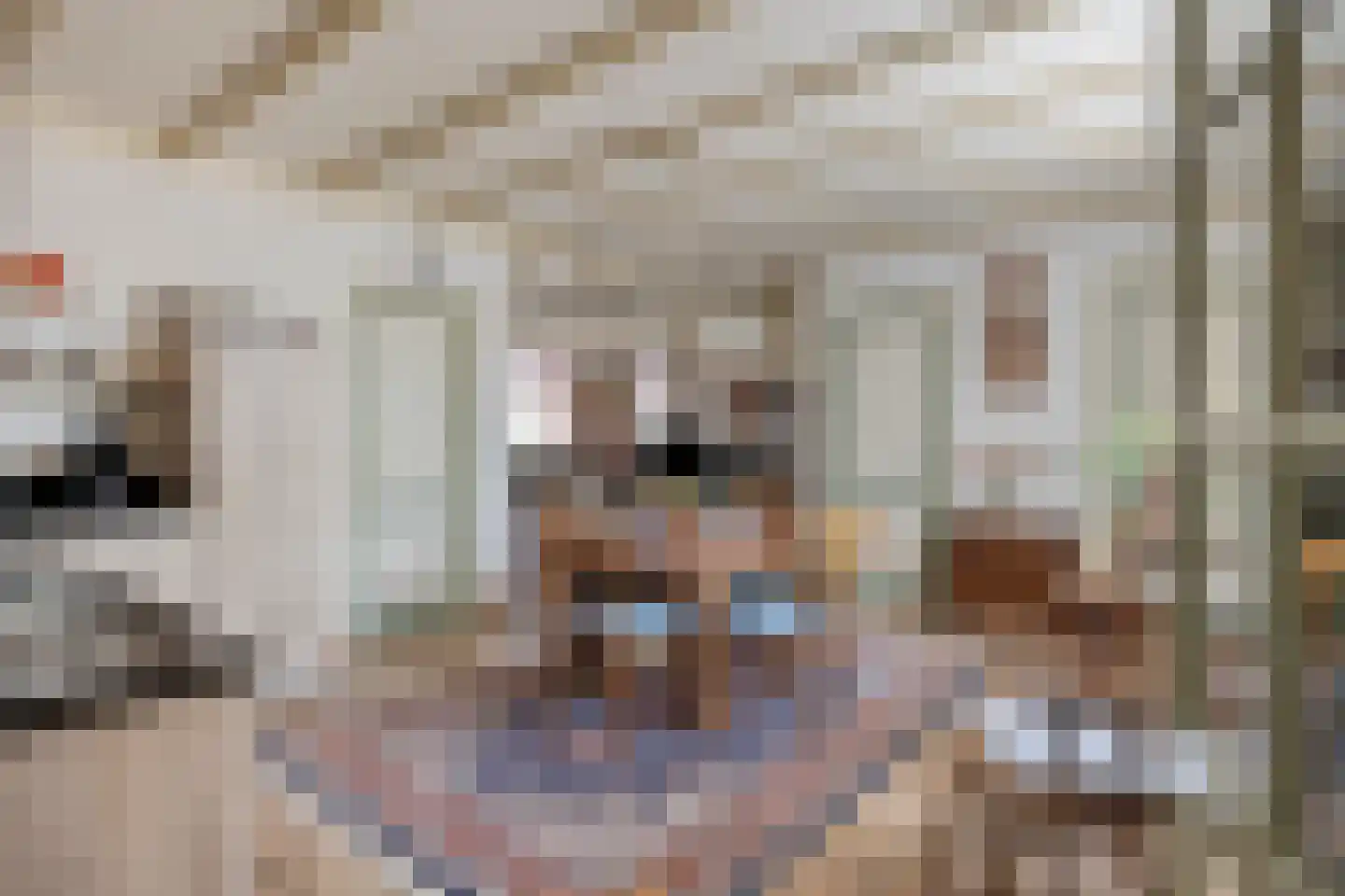 Neerrijt 22 Luyksgestel thumbnail 17