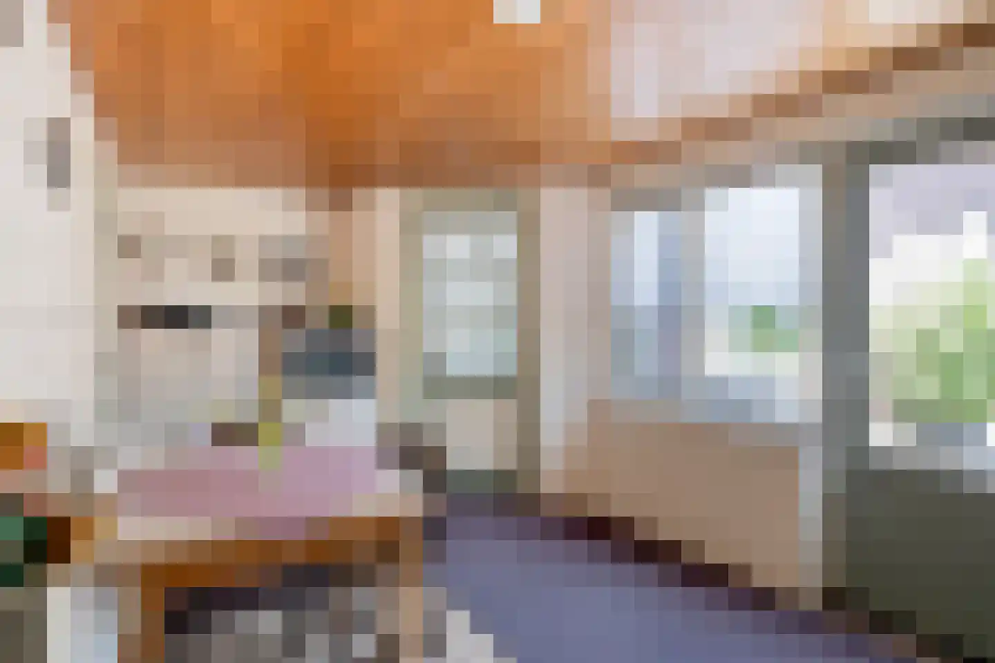 Neerrijt 22 Luyksgestel thumbnail 19