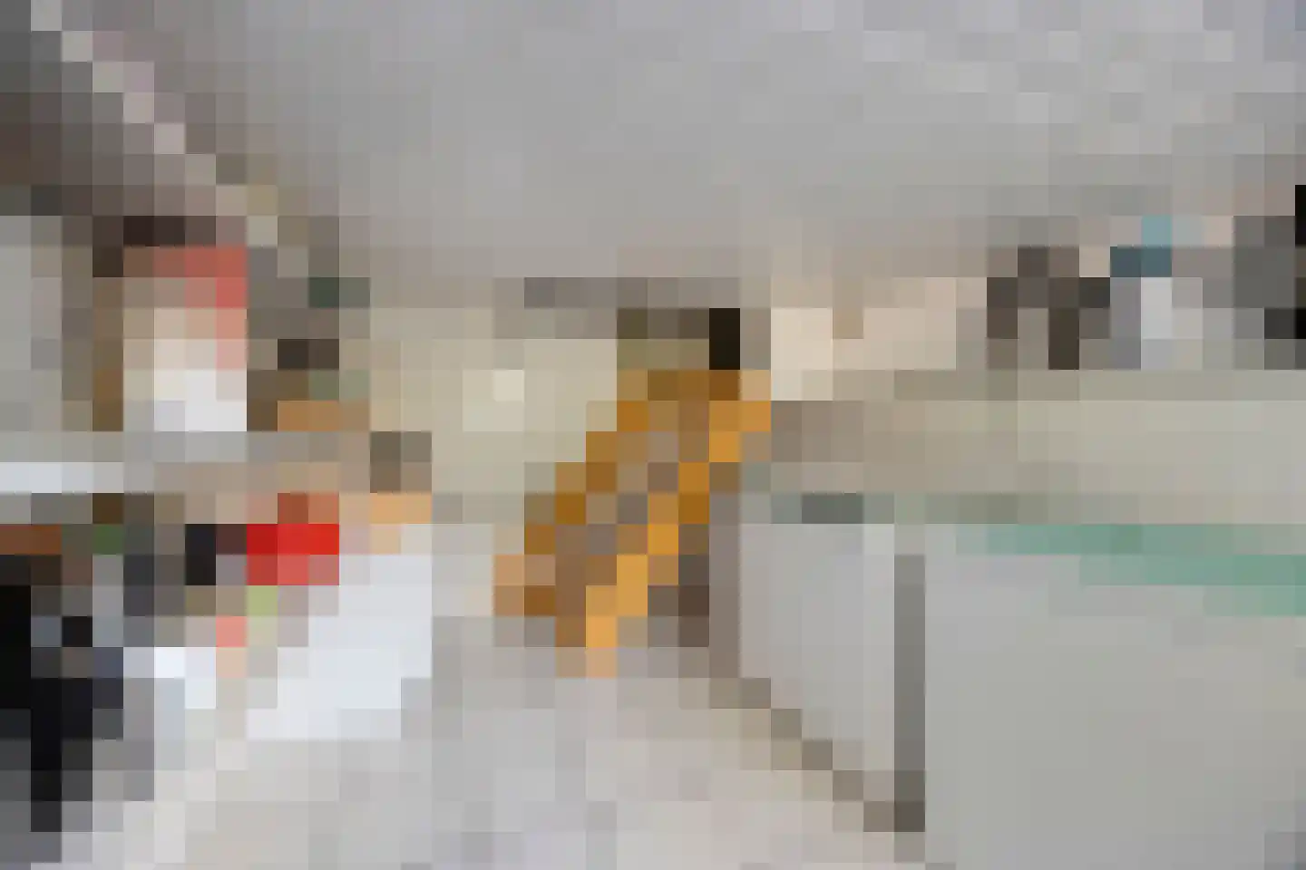 Neerrijt 22 Luyksgestel thumbnail 29