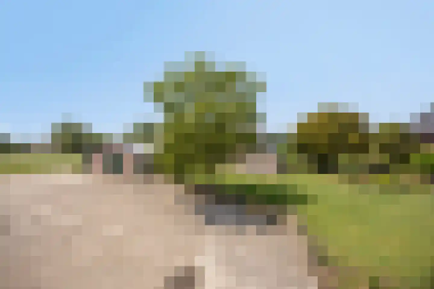 Neerrijt 22 Luyksgestel thumbnail 49