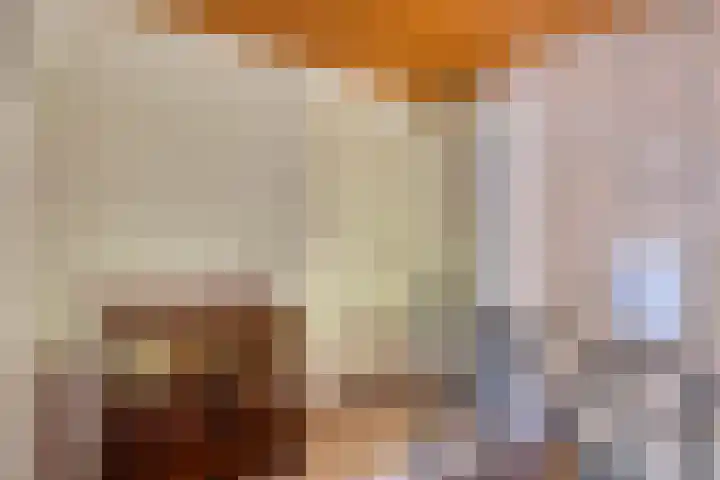 Neerrijt 3 Luyksgestel thumbnail 11