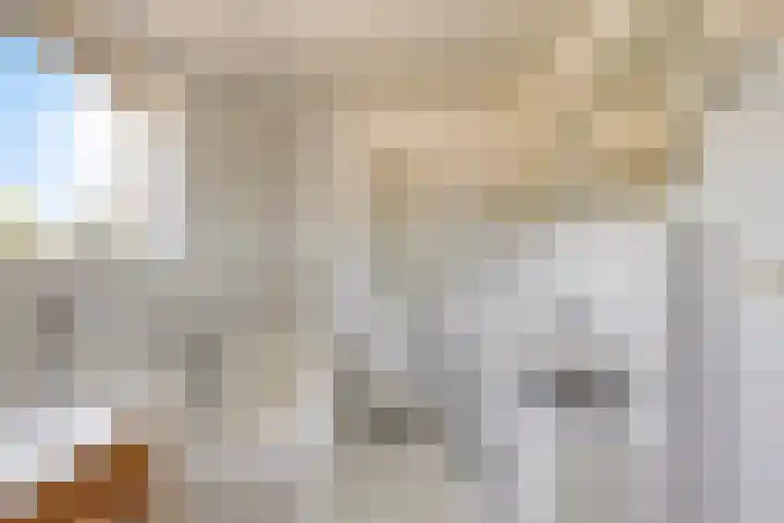 Neerrijt 3 Luyksgestel thumbnail 16