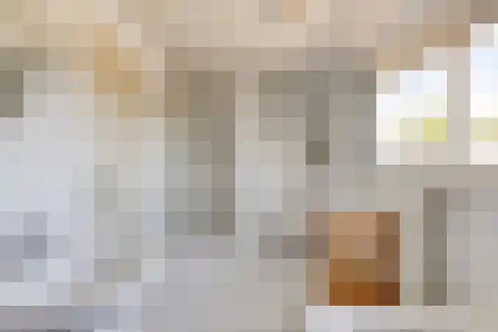 Neerrijt 3 Luyksgestel thumbnail 17