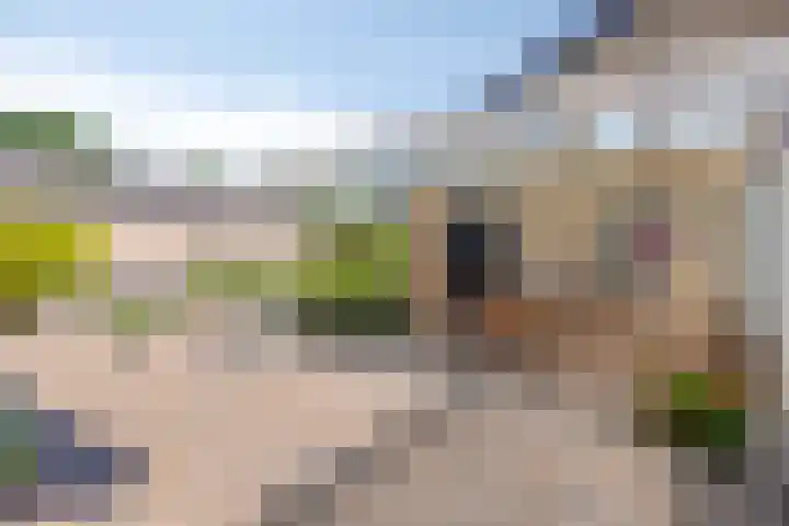 Neerrijt 3 Luyksgestel thumbnail 18