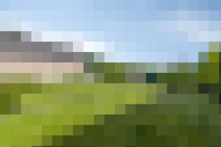 Neerrijt 3 Luyksgestel thumbnail 20