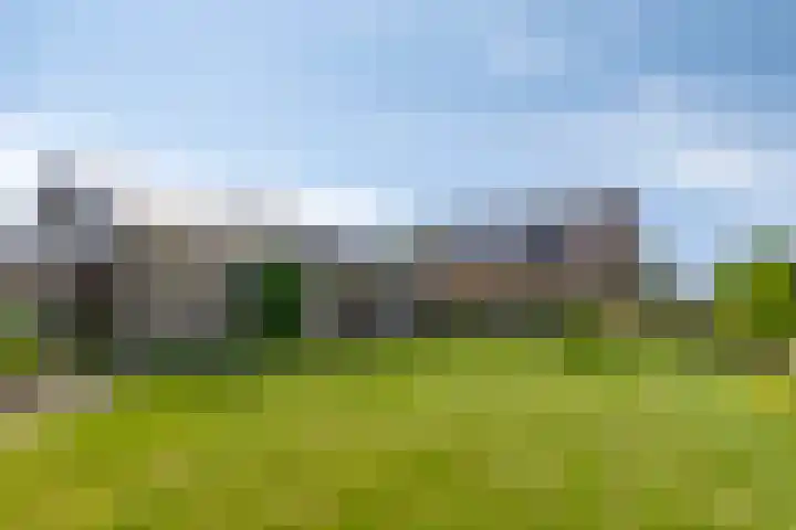 Neerrijt 3 Luyksgestel thumbnail 22