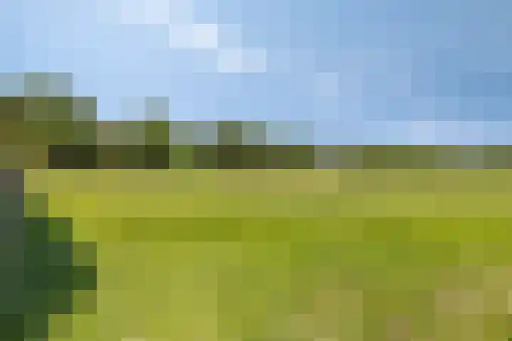 Neerrijt 3 Luyksgestel thumbnail 23