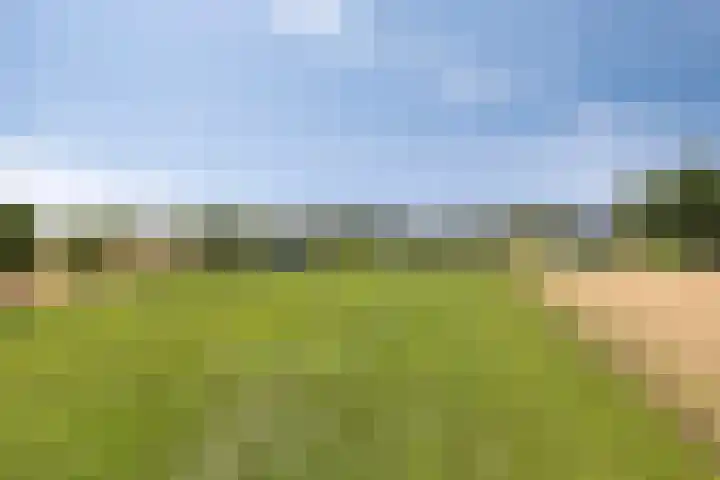 Neerrijt 3 Luyksgestel thumbnail 24