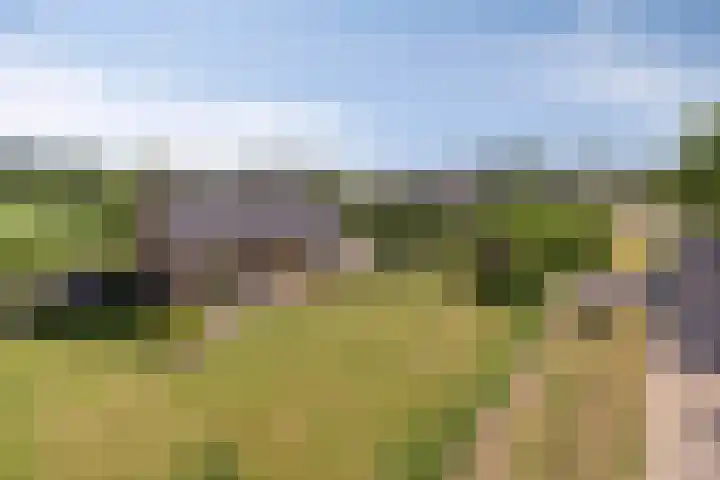 Neerrijt 3 Luyksgestel thumbnail 28