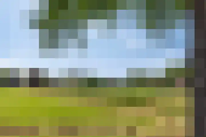 Neerrijt 3 Luyksgestel thumbnail 31