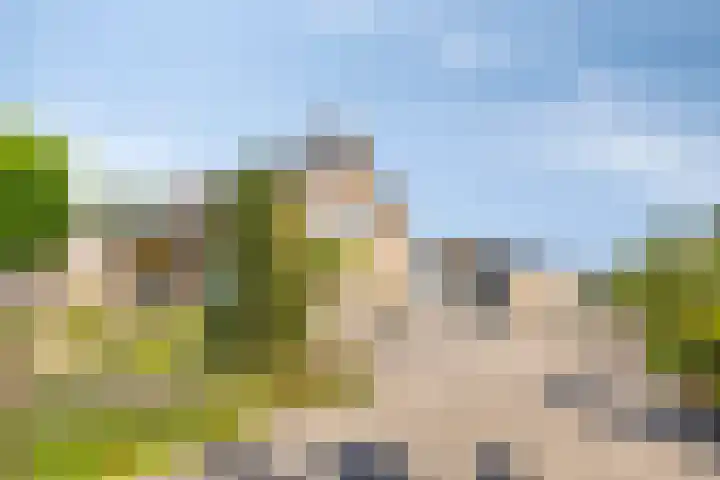 Neerrijt 3 Luyksgestel thumbnail 4
