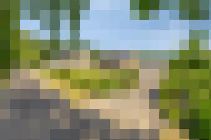 Neerrijt 3 Luyksgestel thumbnail 40