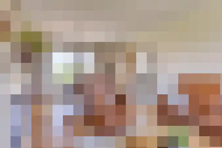 Neerrijt 3 Luyksgestel thumbnail 6