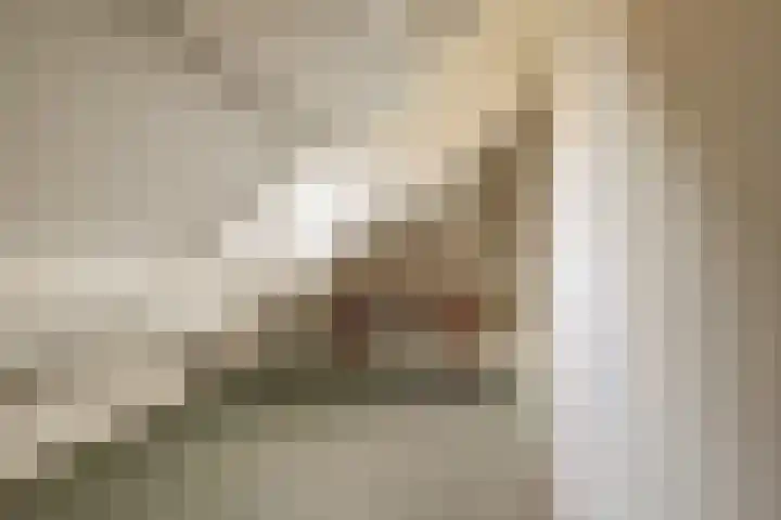 Neerseweg 38 Helden thumbnail 35
