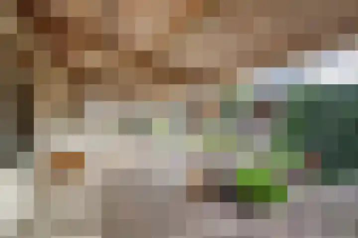 Neerseweg 38 Helden thumbnail 36
