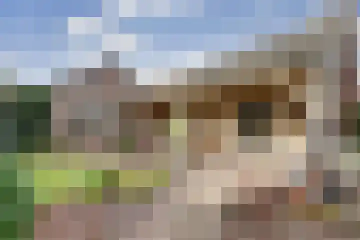 Neerseweg 38 Helden thumbnail 39