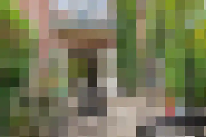 Neerseweg 38 Helden thumbnail 43
