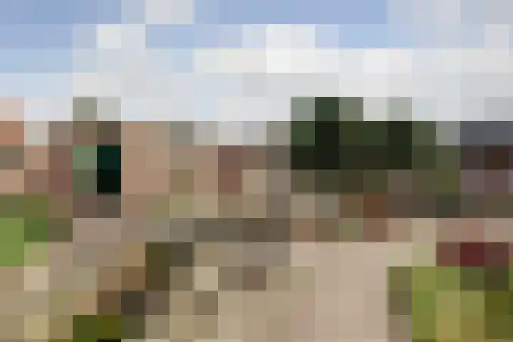 Neerseweg 38 Helden thumbnail 45