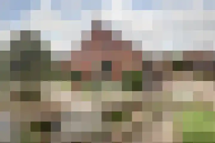 Neerseweg 38 Helden thumbnail 46