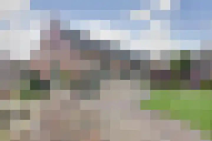 Neerseweg 38 Helden thumbnail 48