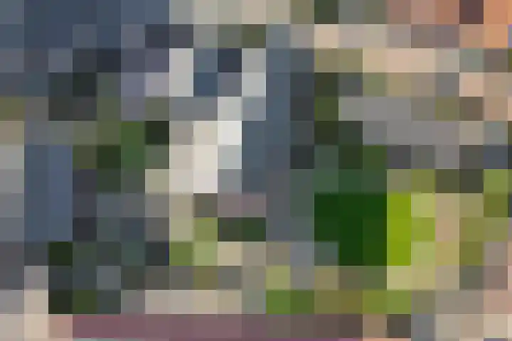 Neerseweg 38 Helden thumbnail 54