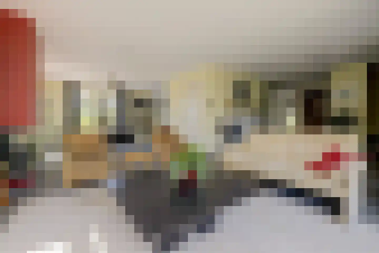 Neerseweg 45 Helden thumbnail 20