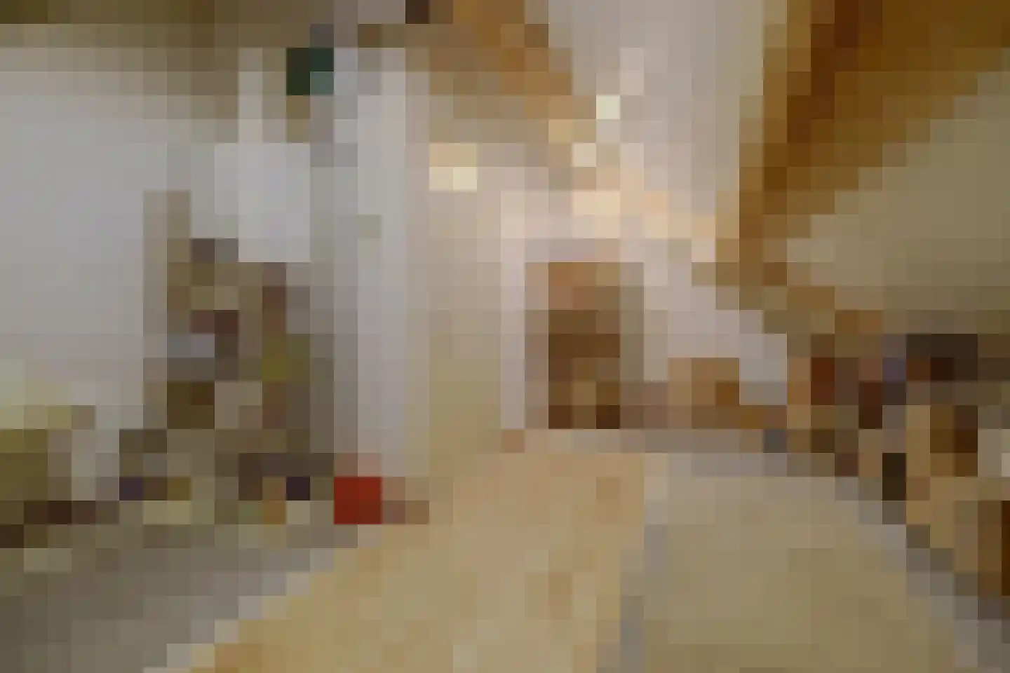 Neerseweg 45 Helden thumbnail 48