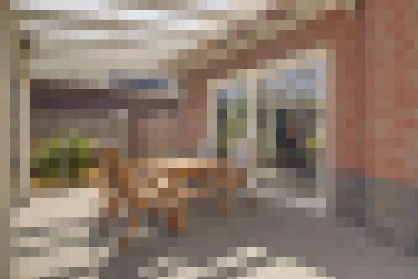Neerseweg 45 Helden thumbnail 53