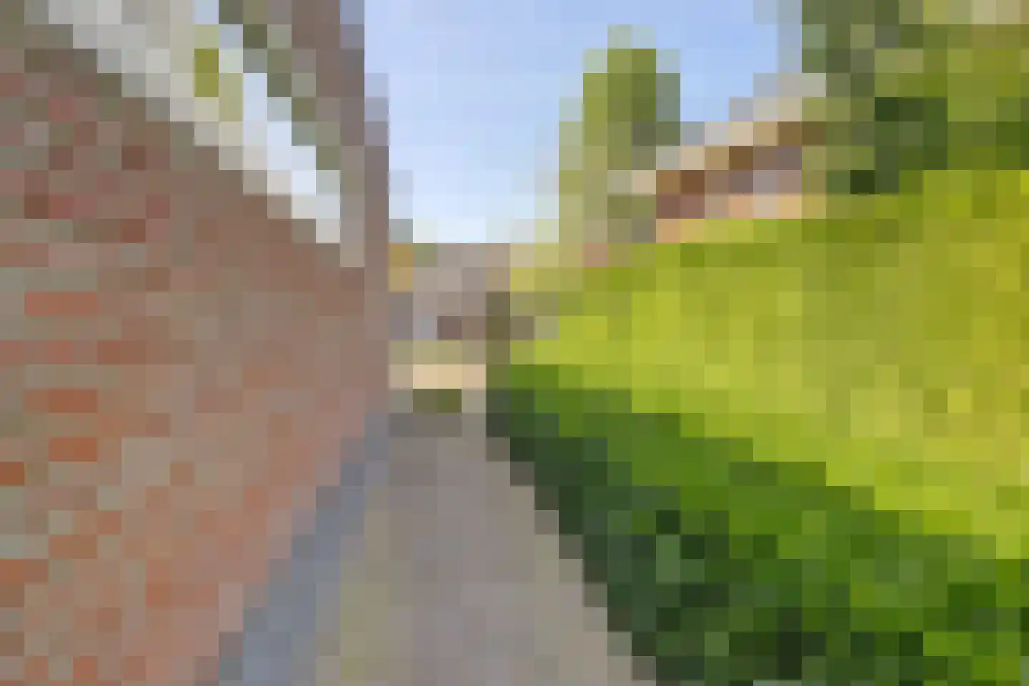 Neerseweg 45 Helden thumbnail 65