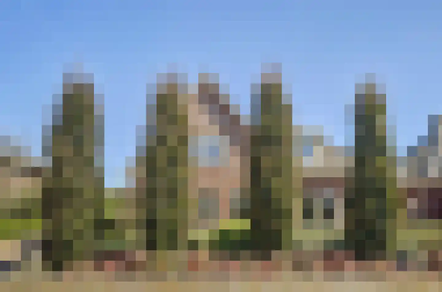 Neerseweg 45 Helden thumbnail 70