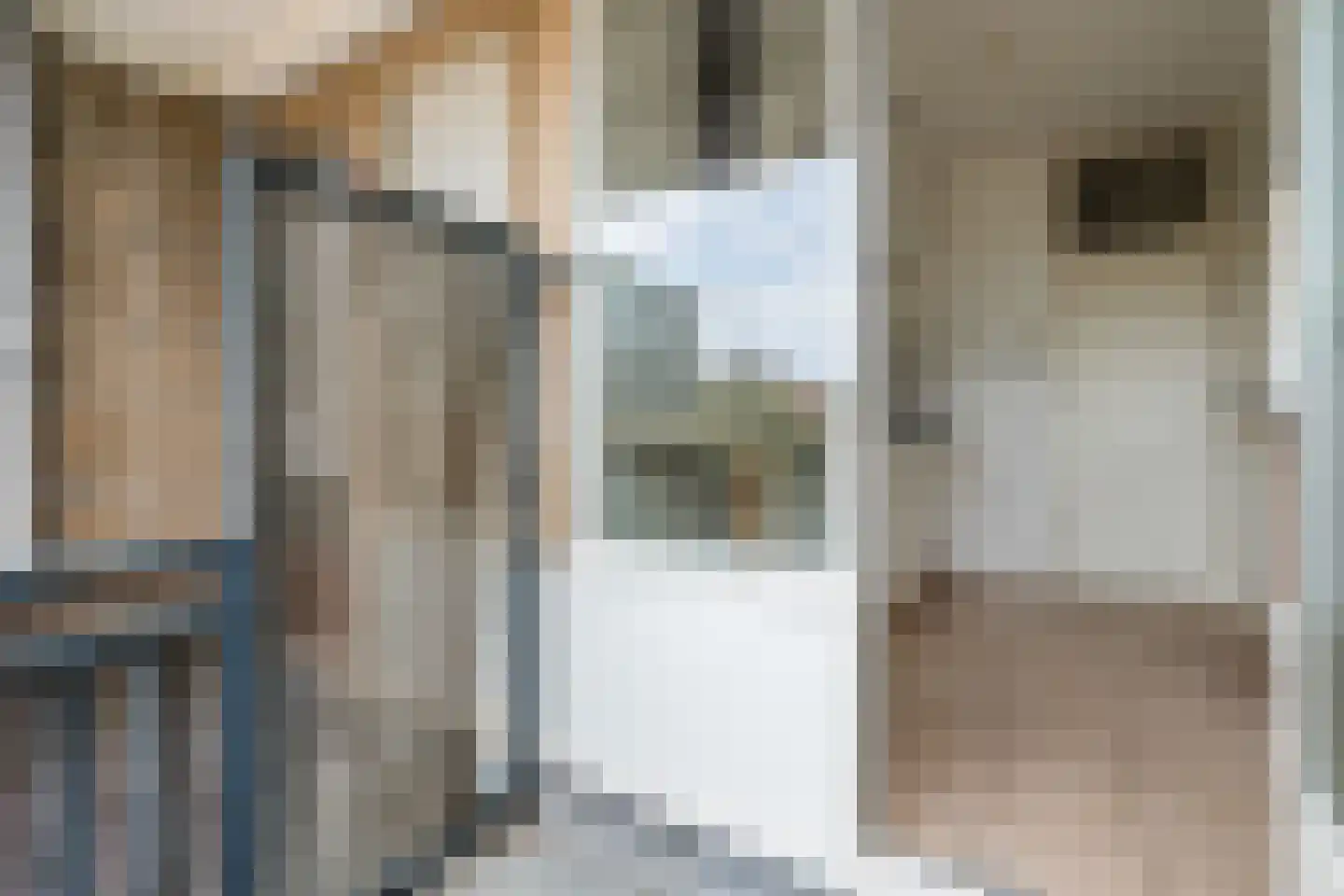 Neerstraat 109 's-Hertogenbosch thumbnail 35