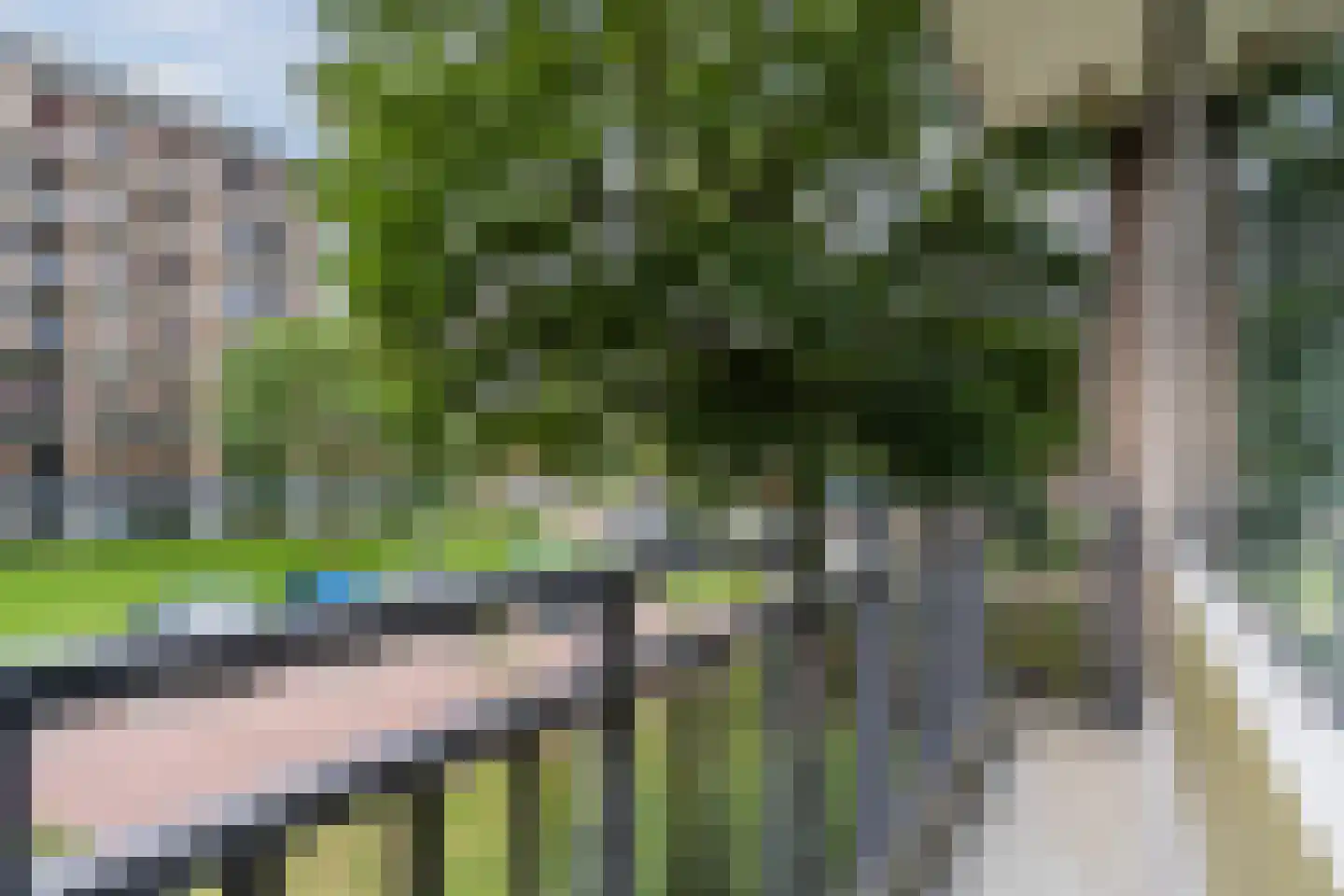 Neerstraat 109 's-Hertogenbosch thumbnail 38