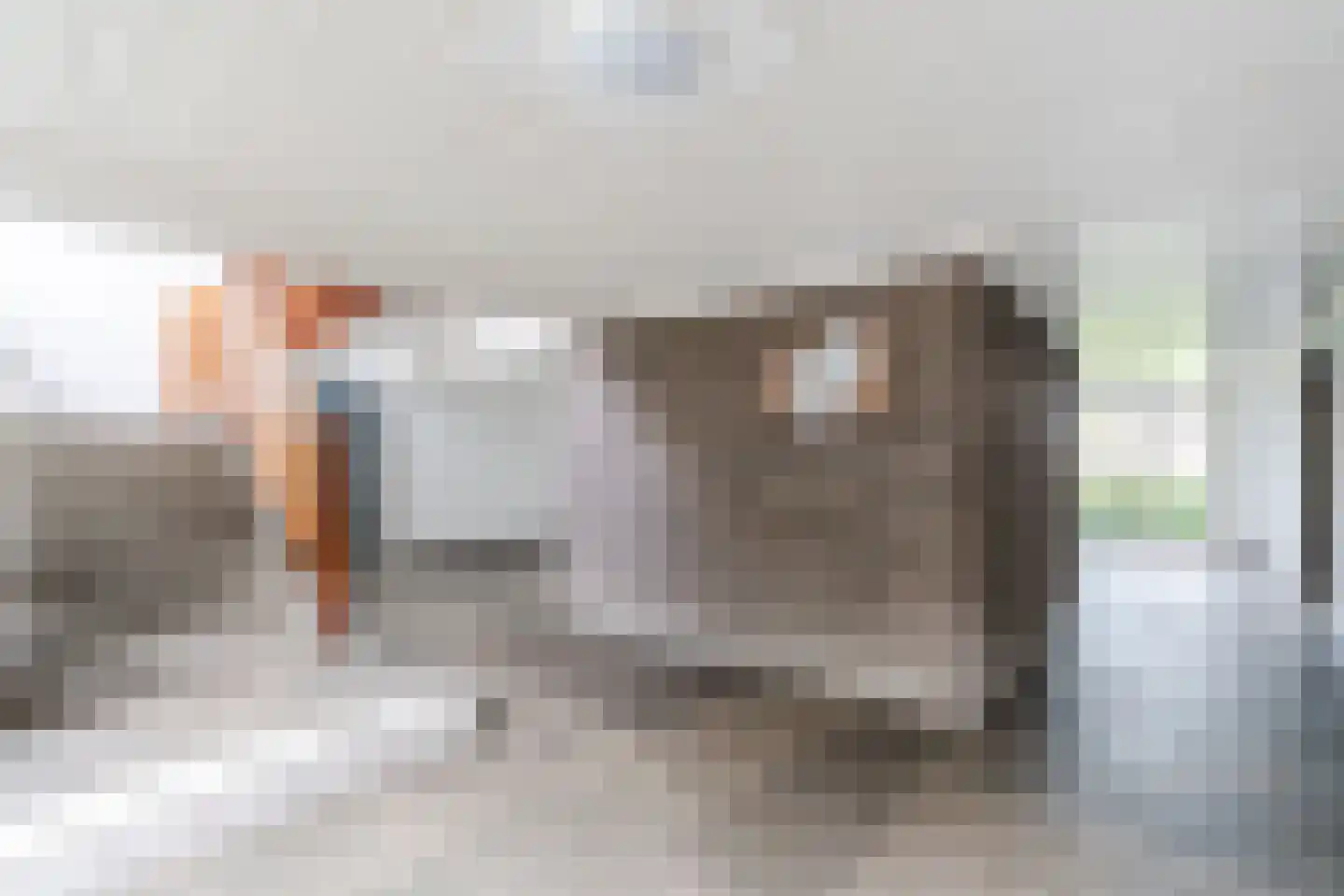 Neerstraat 109 's-Hertogenbosch thumbnail 8