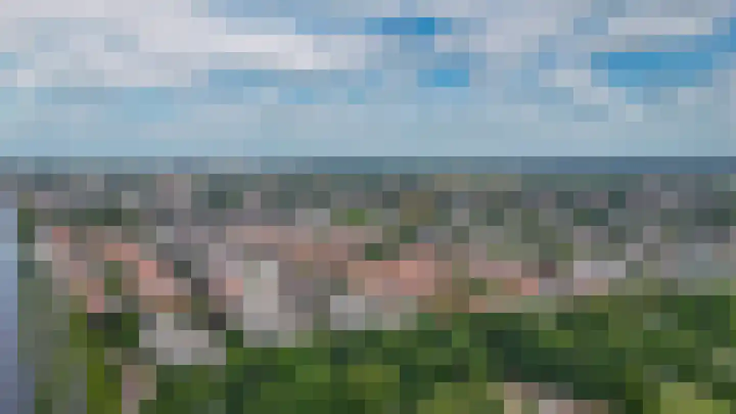 Neerstraat 111 's-Hertogenbosch thumbnail 20