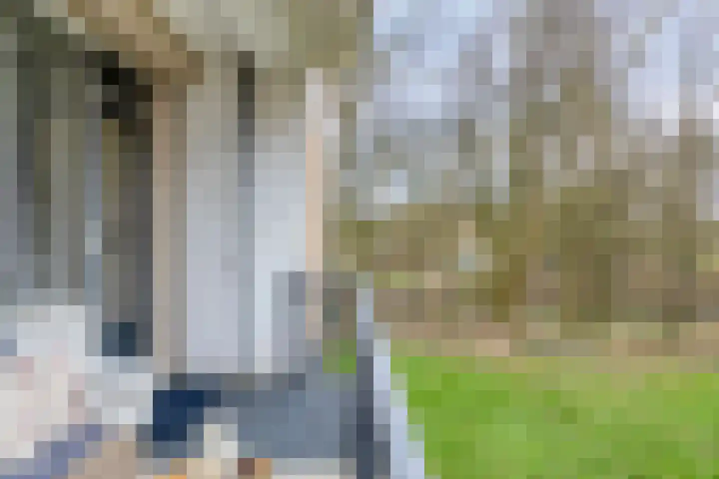 Neerstraat 121 's-Hertogenbosch thumbnail 17