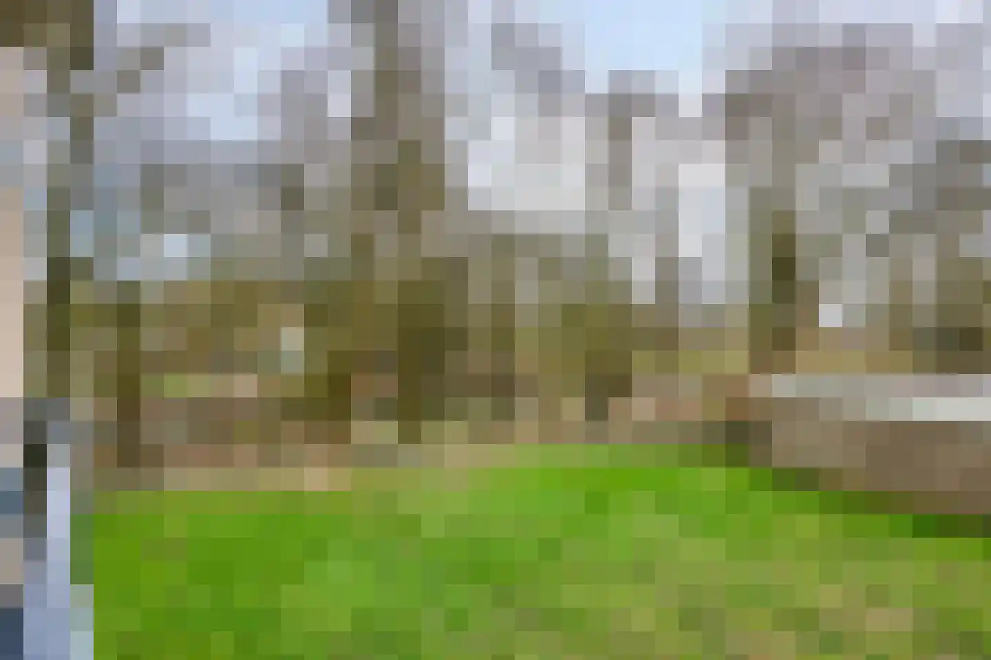 Neerstraat 121 's-Hertogenbosch thumbnail 18